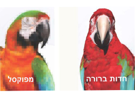 עיצוב